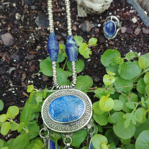 Meet your Posher, Amy - Picture 7 of 7